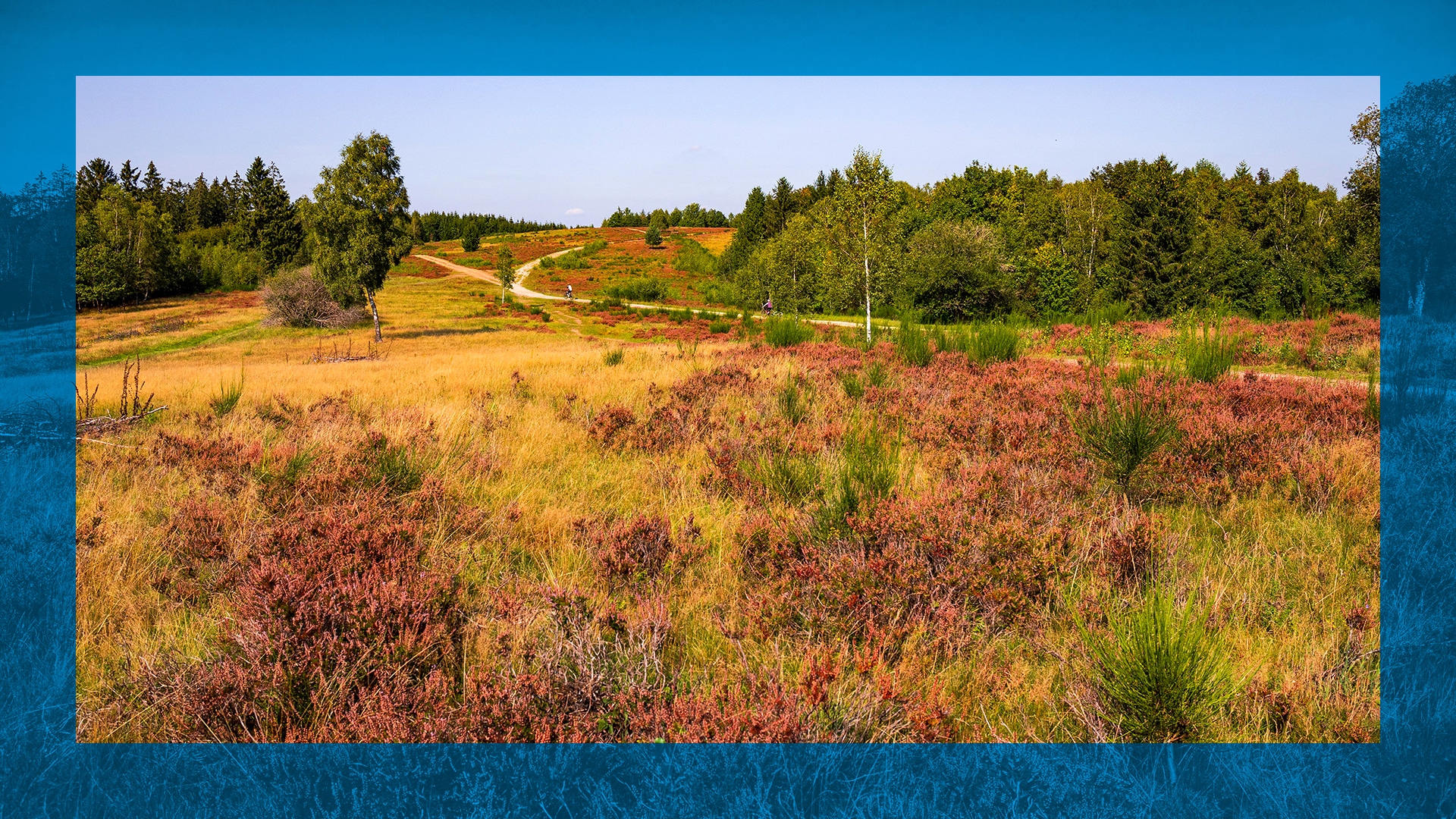 entdecke.nrw — Südwestfalen